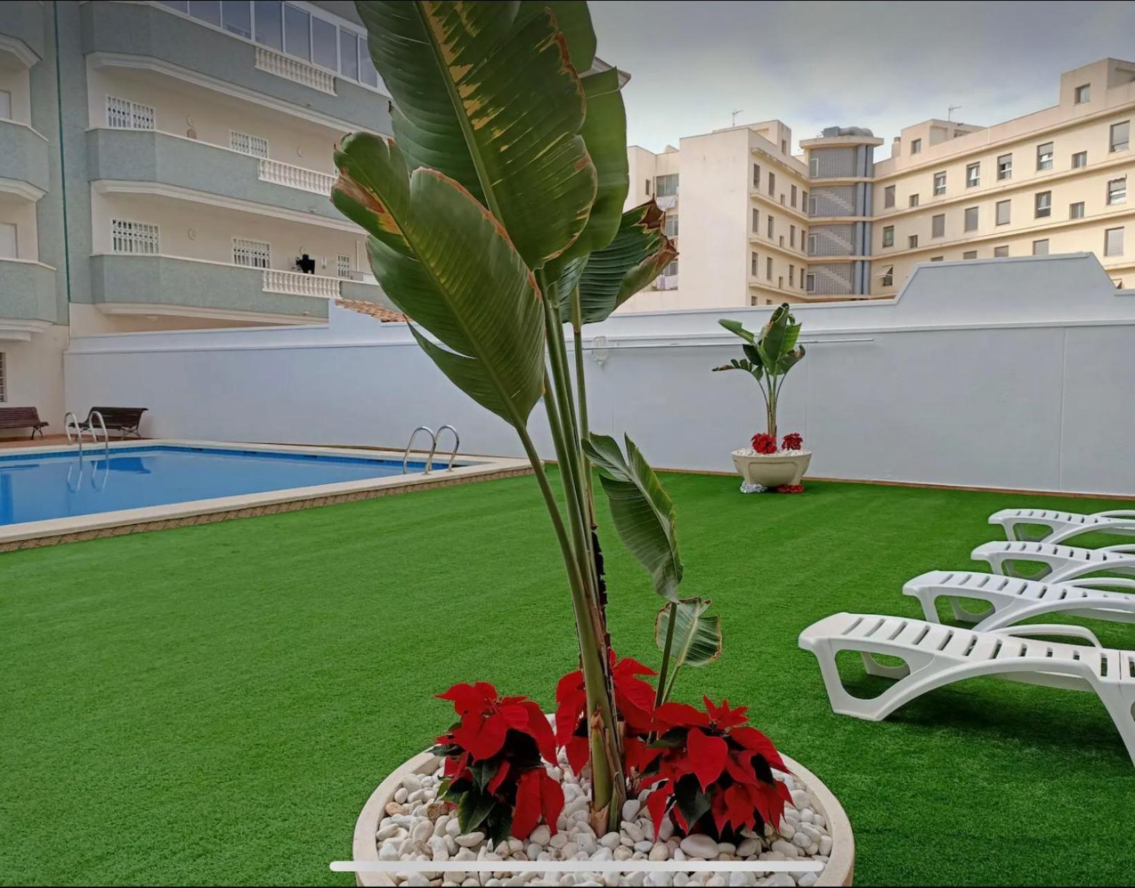 Exclusive Penthouse Pool & Beach - Lovely For Families - Los Pinos Residential เอลกัมเปโญ ภายนอก รูปภาพ
